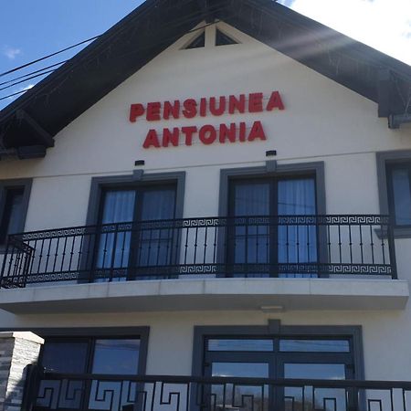 Pensiunea Antonia Sighetu Marmaţiei Exteriör bild