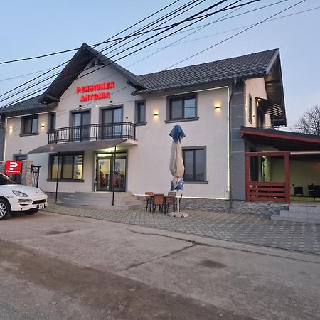 Pensiunea Antonia Sighetu Marmaţiei Exteriör bild