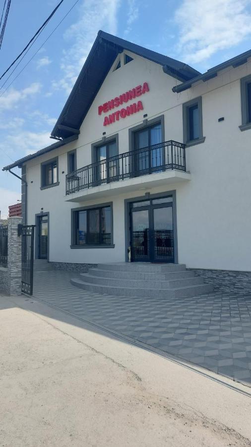 Pensiunea Antonia Sighetu Marmaţiei Exteriör bild