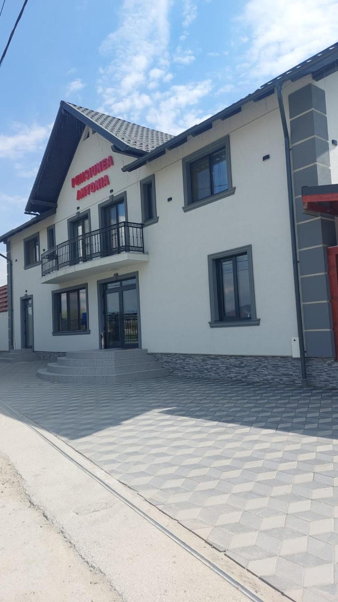 Pensiunea Antonia Sighetu Marmaţiei Exteriör bild
