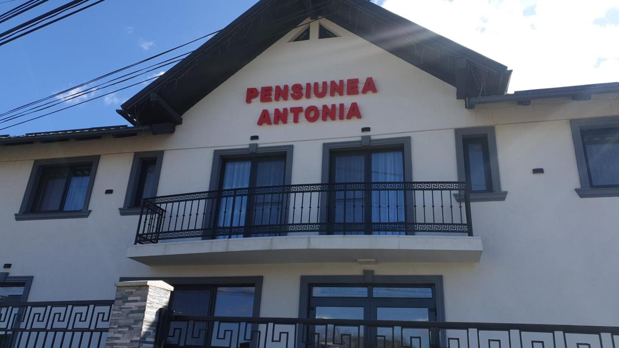Pensiunea Antonia Sighetu Marmaţiei Exteriör bild