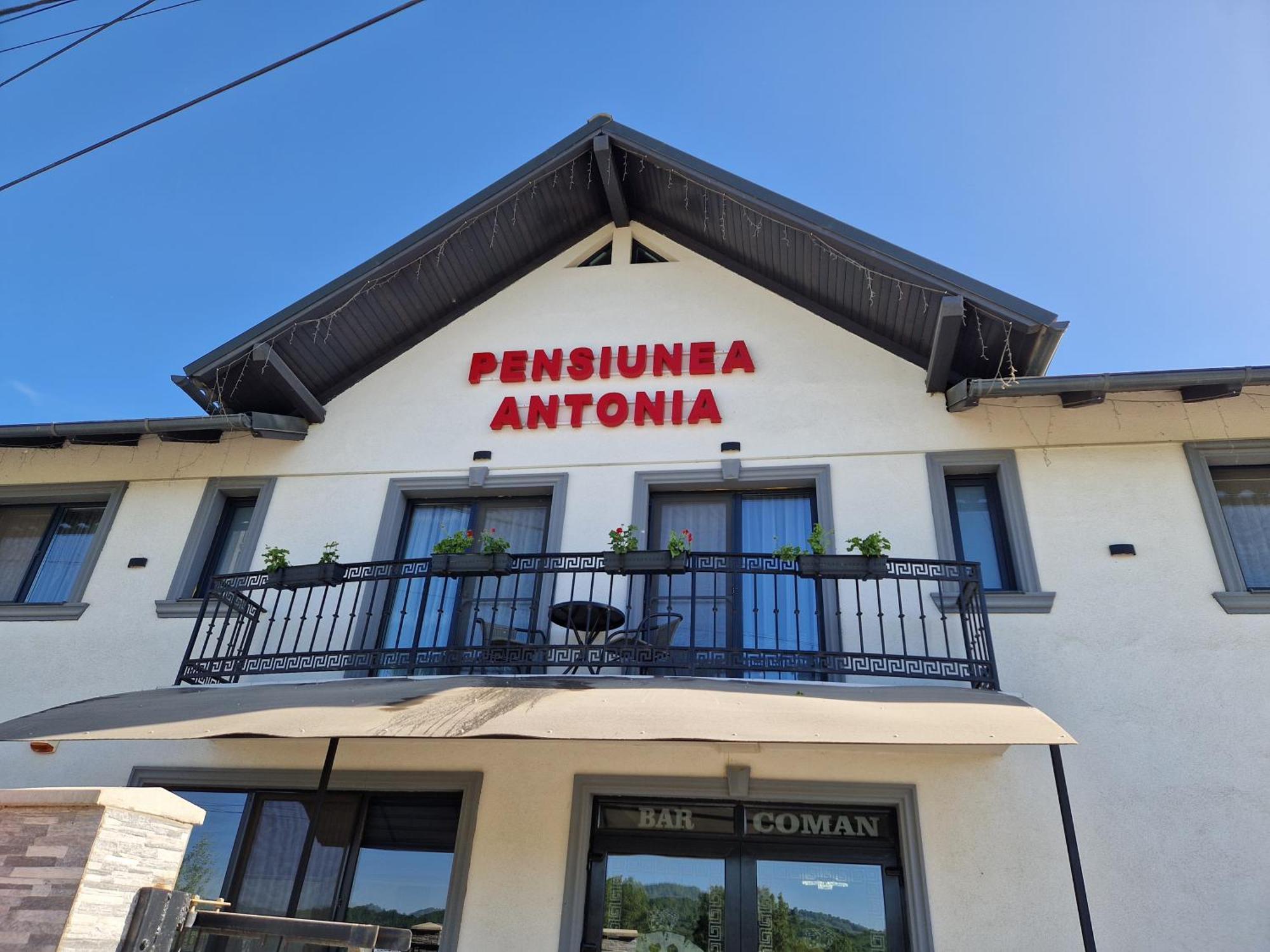 Pensiunea Antonia Sighetu Marmaţiei Rum bild