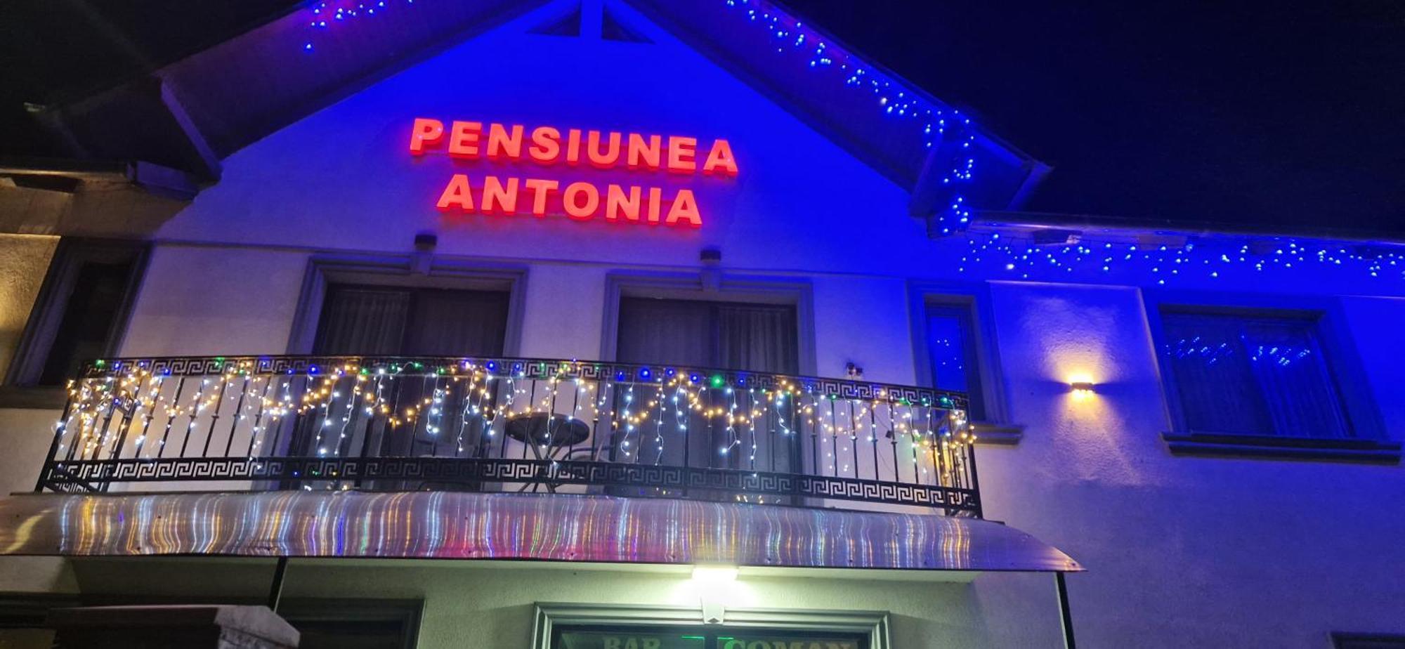 Pensiunea Antonia Sighetu Marmaţiei Exteriör bild